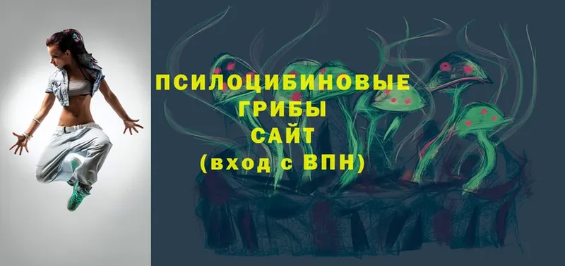 Галлюциногенные грибы MAGIC MUSHROOMS  магазин  наркотиков  Алушта 